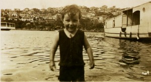 Don near Crystal Beach Pool, North Harbour